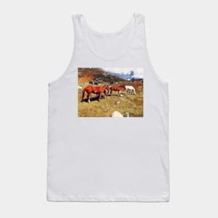 Horses in a field Tank Top